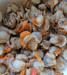 香辣过瘾的炒扇贝肉