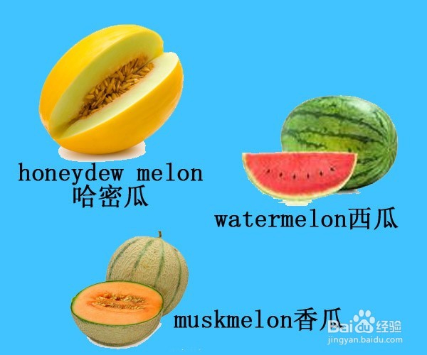 English Words:归类记忆各种水果(共28种水果)