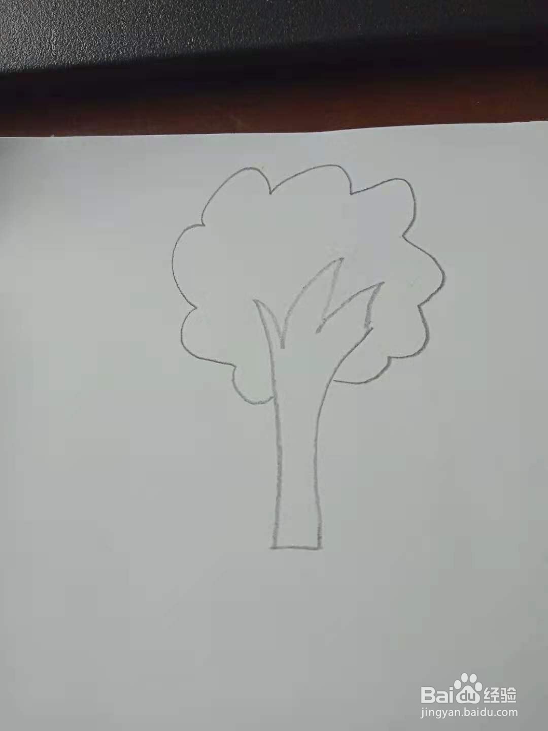 大树的创意简笔画