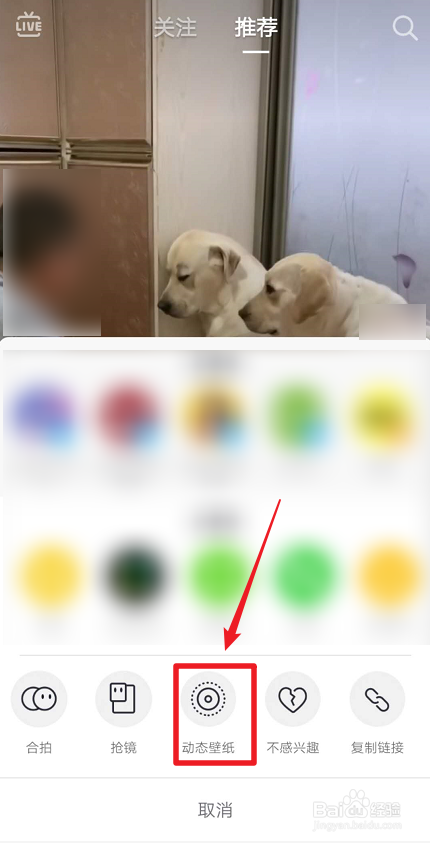 手机怎么用抖音视频做动态壁纸