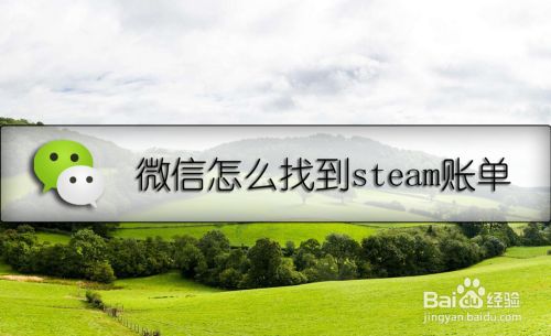 微信怎么找到steam账单 百度经验 微信怎么找到steam账单 百度经验