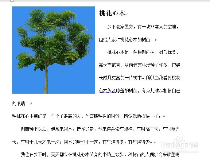 Word插入水印与自定义水印-Office使用技巧