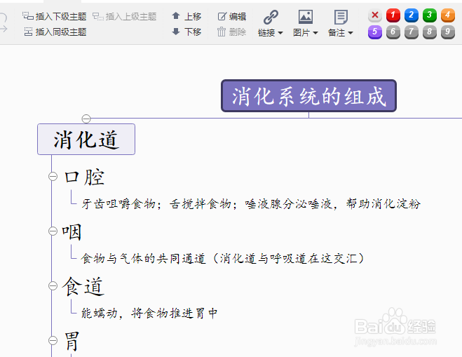 生物消化系统的组成思维导图怎样画