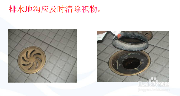 厨房有害虫怎么控制