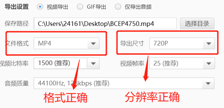 如何设置视频格式和分辨率