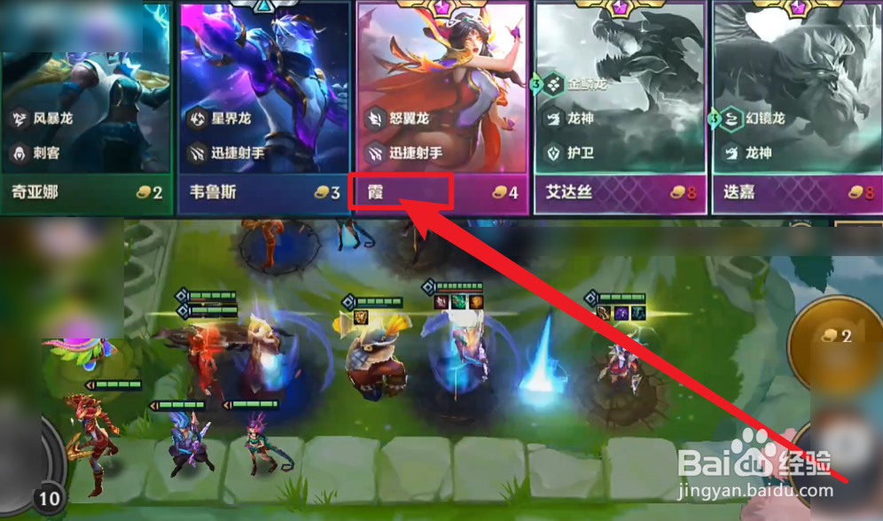 怒翼龙之徽怎么玩