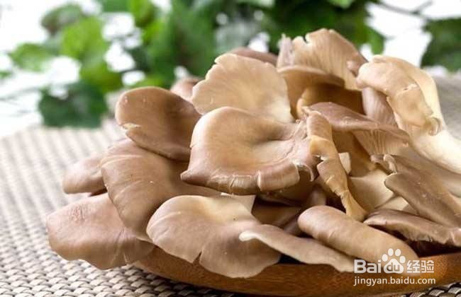 自然阳光：驴肉跟什么不能一起吃呢？