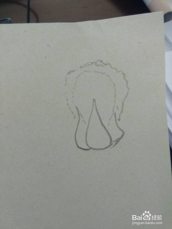 简笔画——白菜