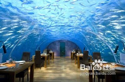 全球十大最美餐厅