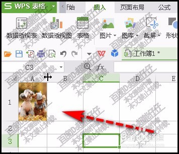 WPS表格插入图片如何随单元格改变而改变