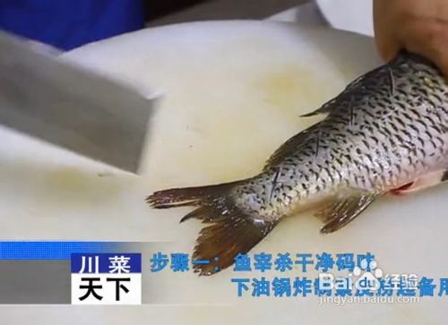 传统川菜炝锅鲤鱼的做法