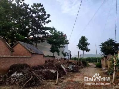 临沂农村没有宅基地怎么办