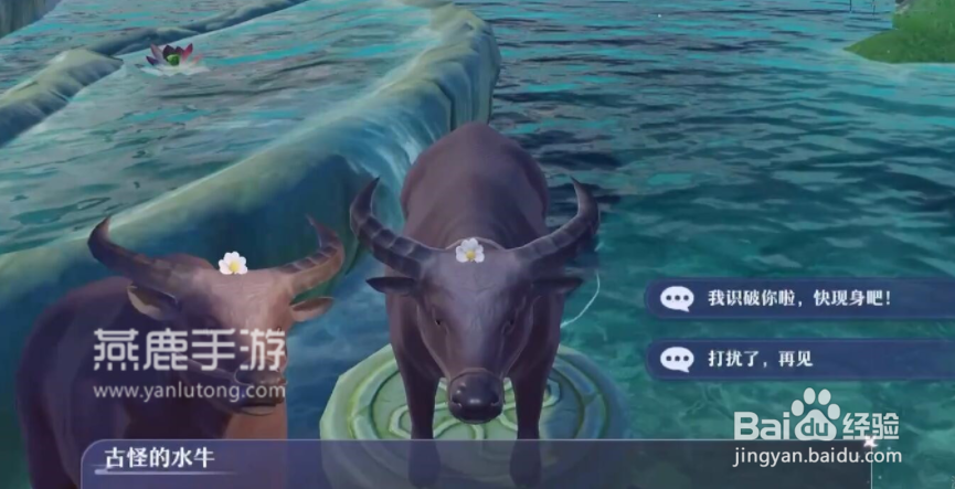 梦幻新诛仙怕水的小水牛位置