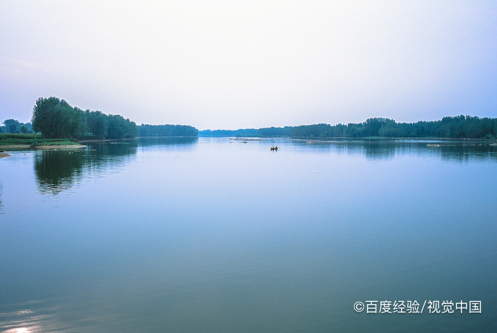 周口野生动物园开车进去怎么收费