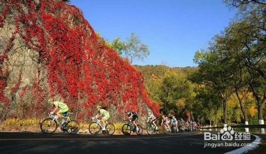 秋冬季骑行的注意事项!