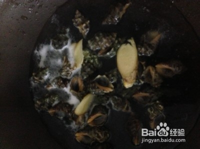苦螺怎么样煮