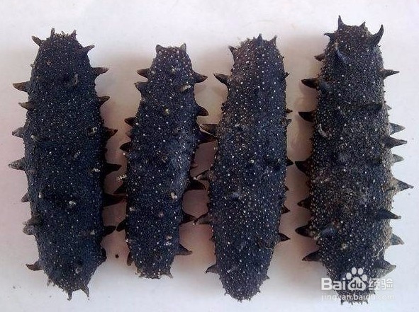 揭秘海参加工方法中的猫腻