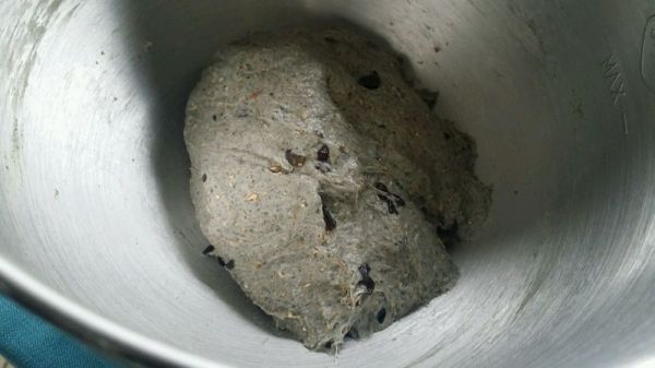 全麦黑提黑芝麻包