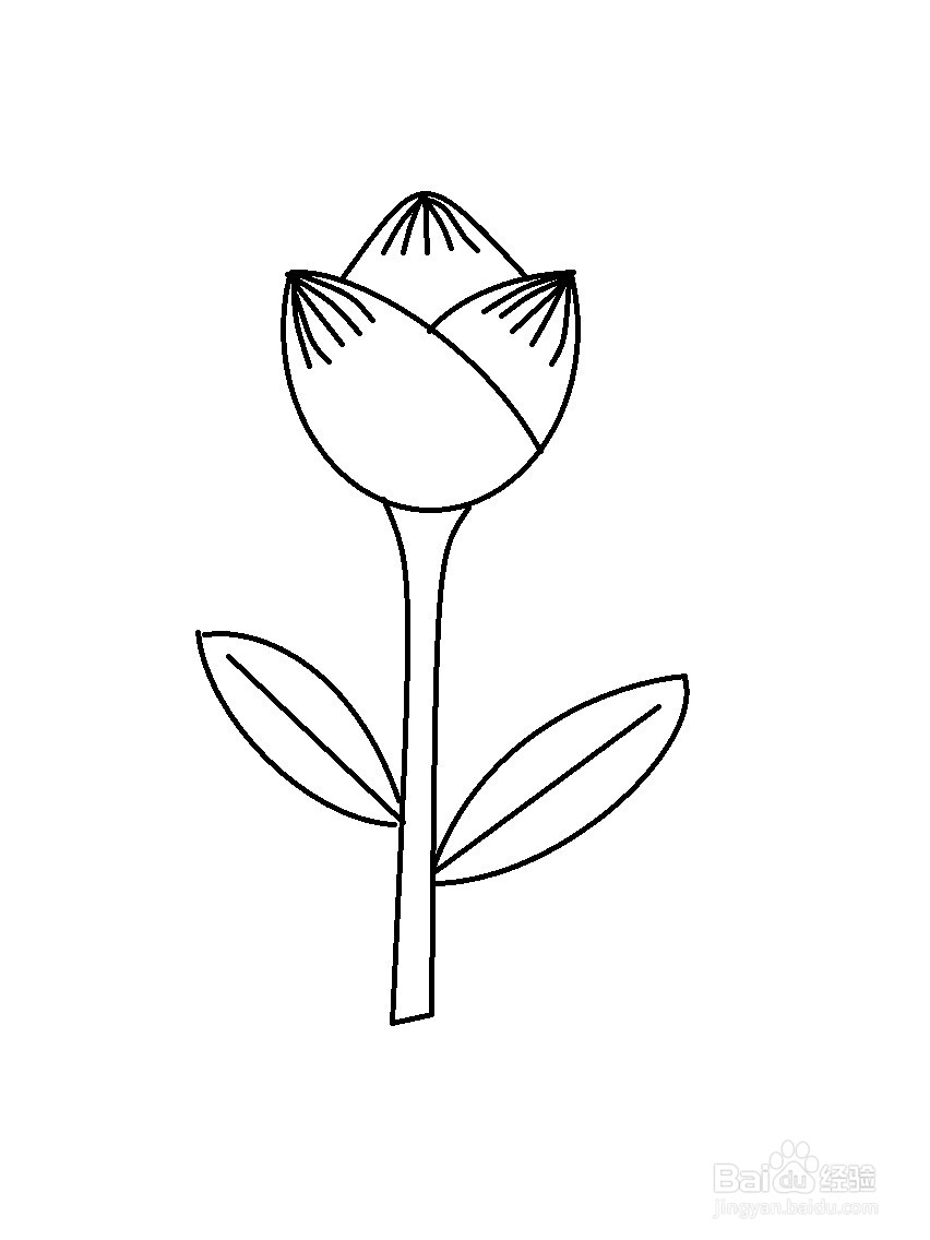 画郁金香的简单方法