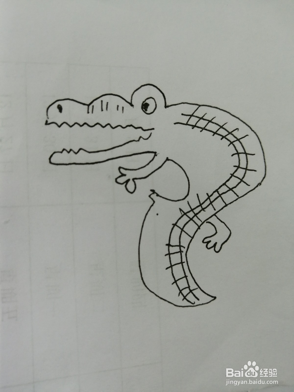 <b>简笔画可爱的鳄鱼怎么画</b>