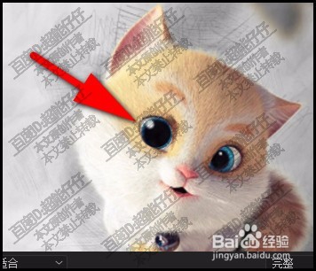 pr中如何把猫咪两只眼睛变亮