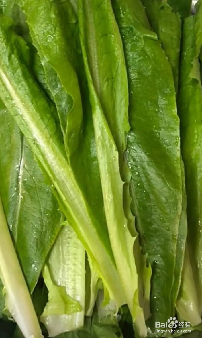 蒜蓉油麦菜如何做