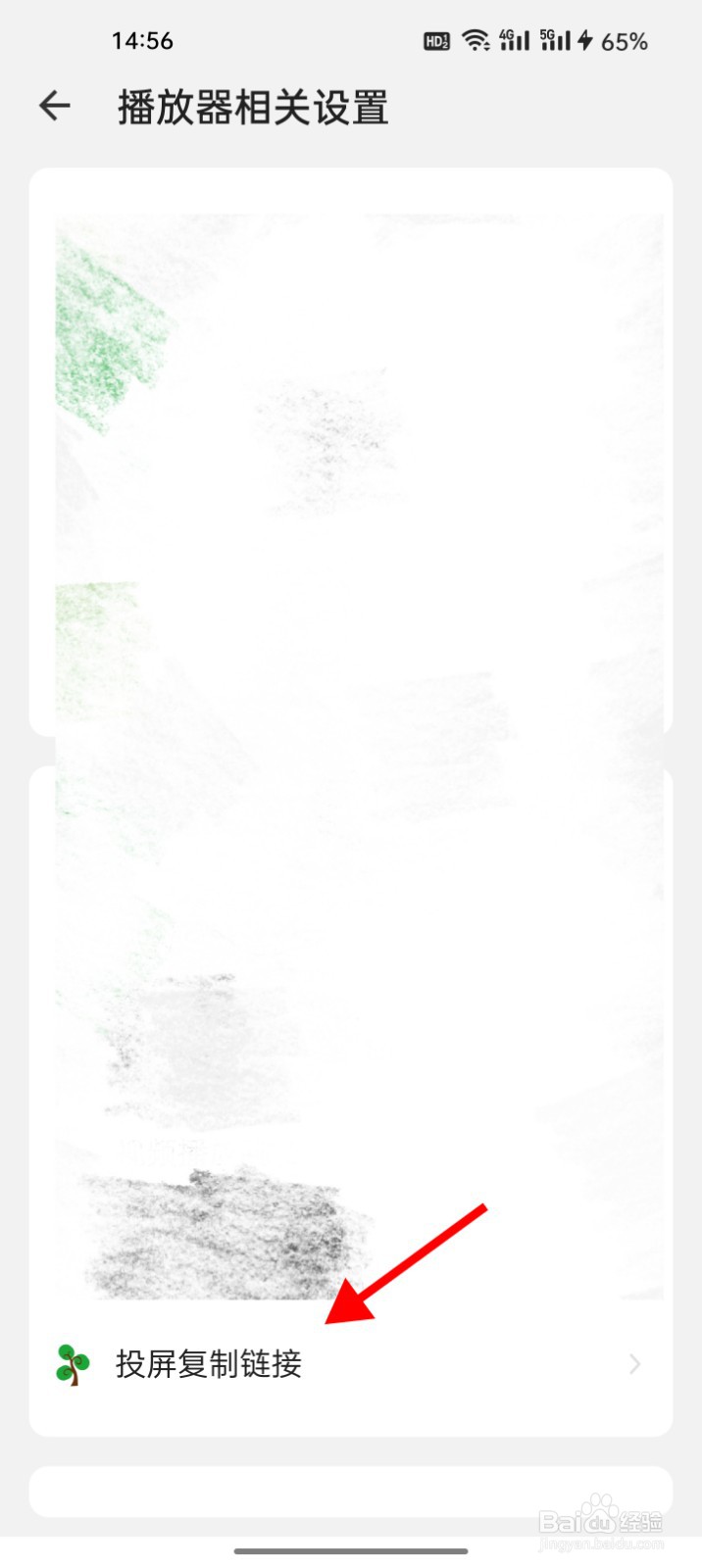 海阔视界怎么设定投屏时不复制链接仅提示