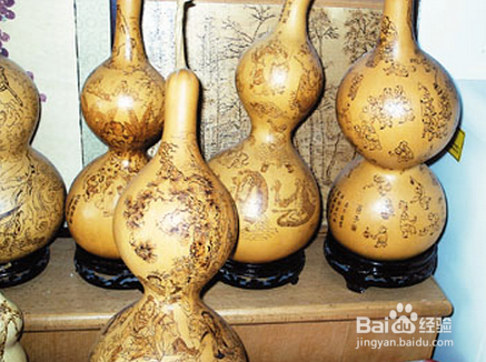 葫芦的各型分类