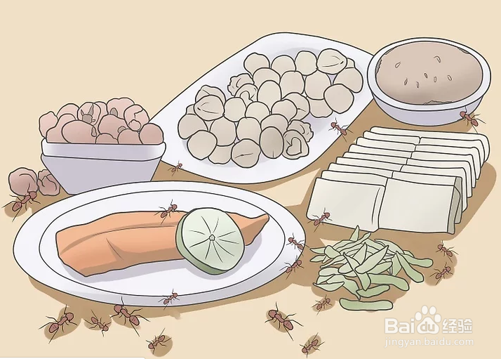 如何消灭黑蚂蚁