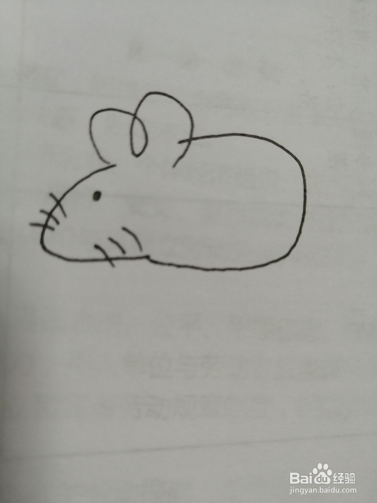 简笔画可爱的小老鼠怎么画