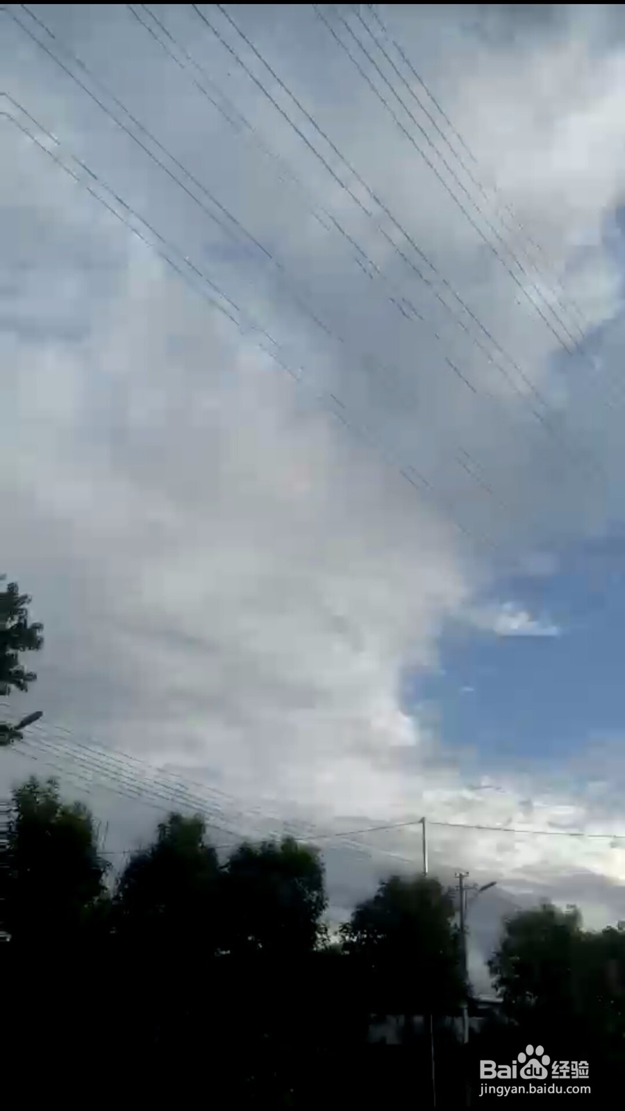 手机怎么播放ogv格式