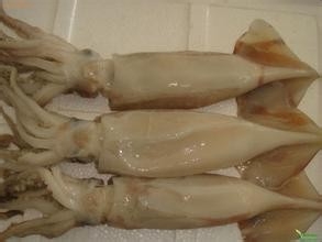 教你如何又快又好的生发鱿鱼