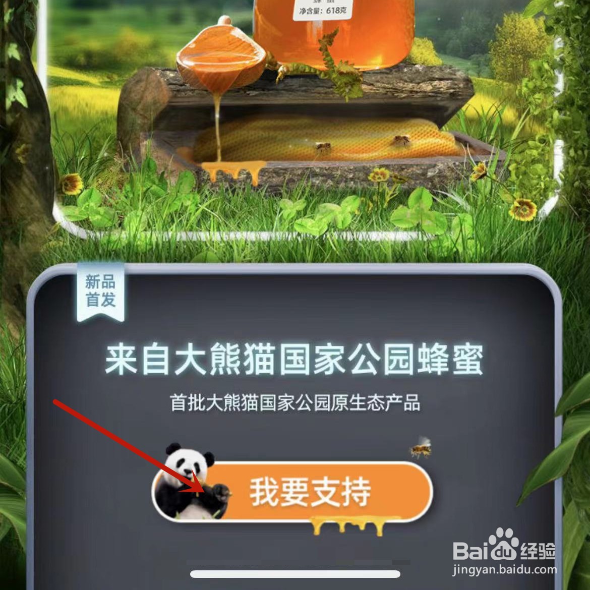 怎么参加蚂蚁庄园“森林实验室”活动