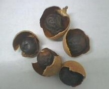 怎样做清补凉