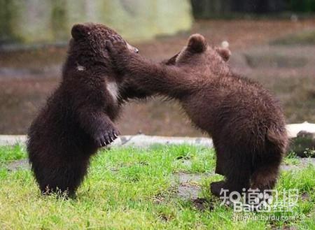 七夕到了，情场高手都爱怎么“做”？