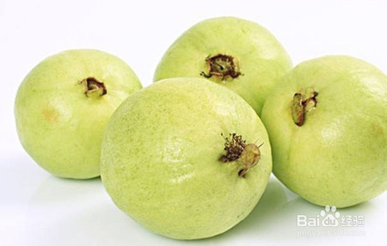 吃番石榴能减肥吗 夏季推荐番石榴减肥法