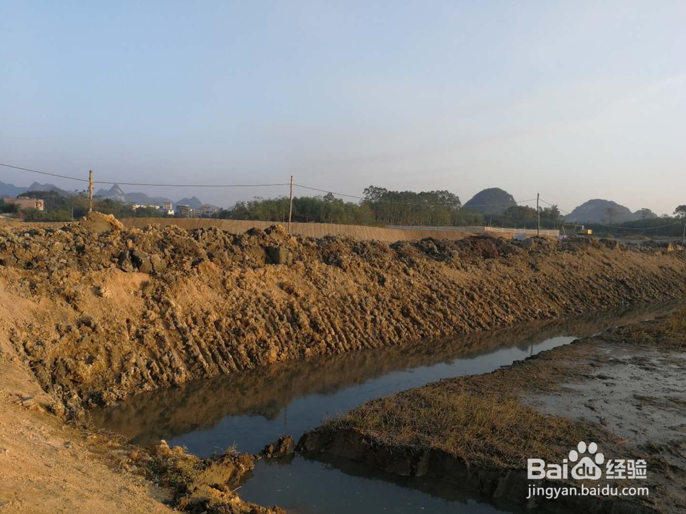 鱼塘改建进展4