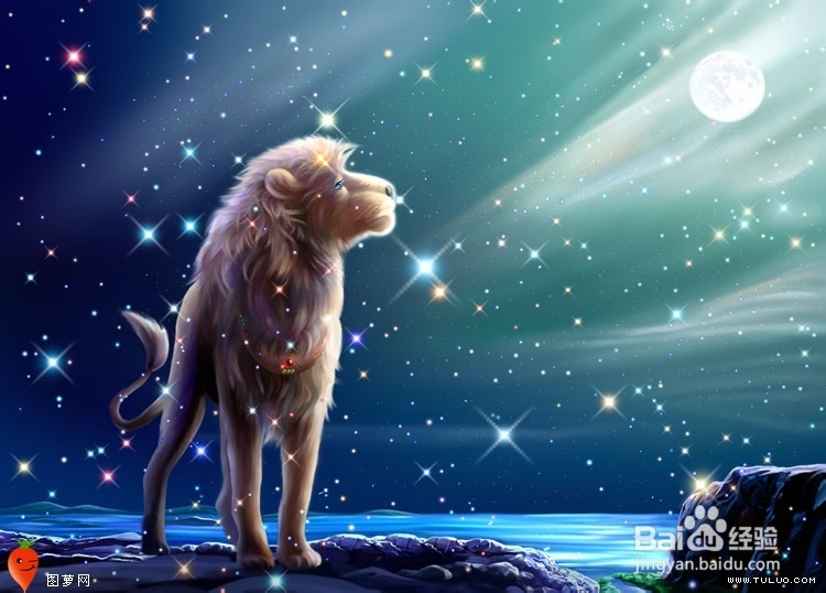 十二星座梦幻图 最全