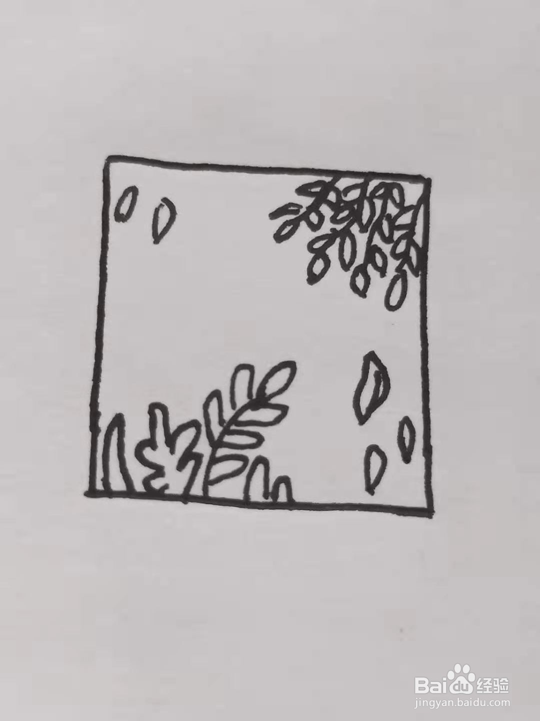 怎样画柳叶边框？