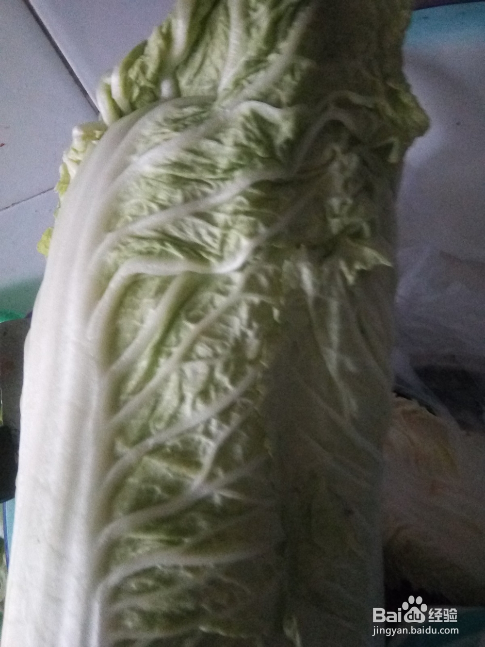 白菜炒干豆腐