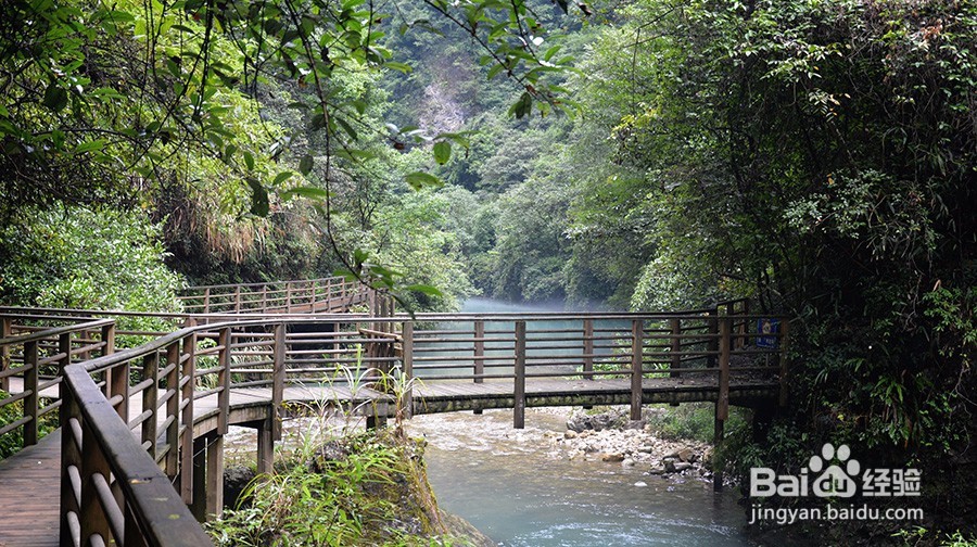 张家界游玩定制,原来大家都是这么玩的!