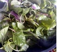 染红米饭的长寿菜——不可缺蒜的蒜蓉苋菜