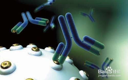 甲状腺抗体阳性怎么办？