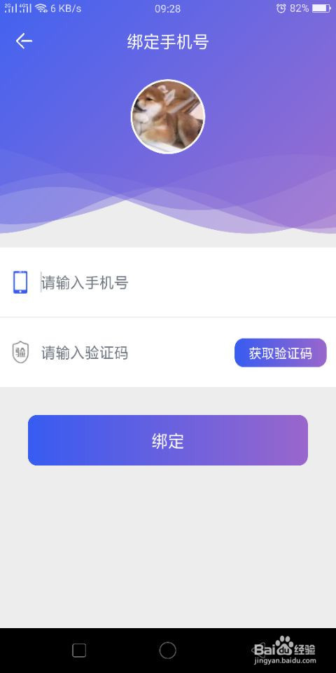 全民养猪怎么玩