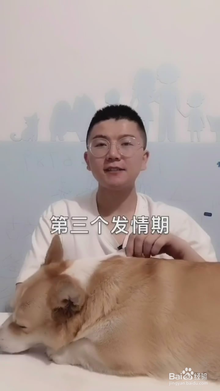 猫咪为什么乱拉乱尿
