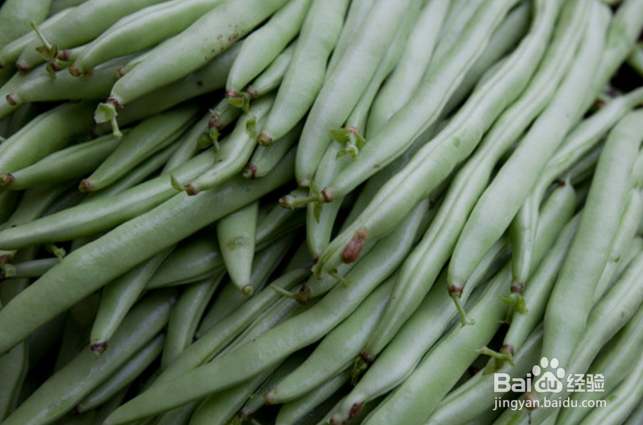 如何才能挑选到好吃的四季豆
