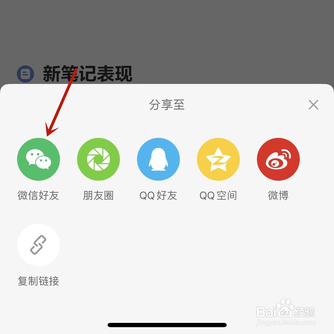 小红书周报可以分享给微信好友吗