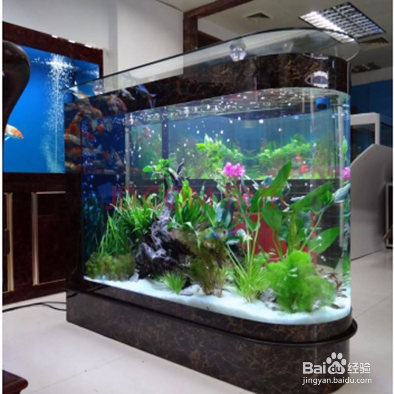 ​水族箱的置景材料和配景材料各有哪些