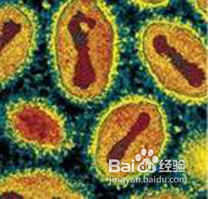 舌头起泡怎么办