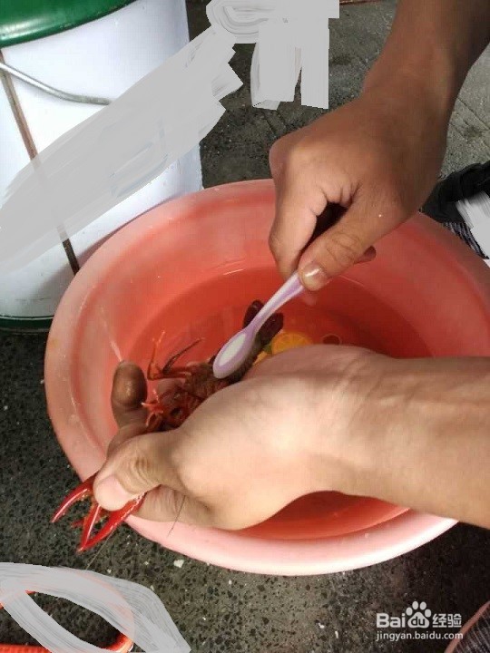 夏天自己买小龙虾做如何处理最干净